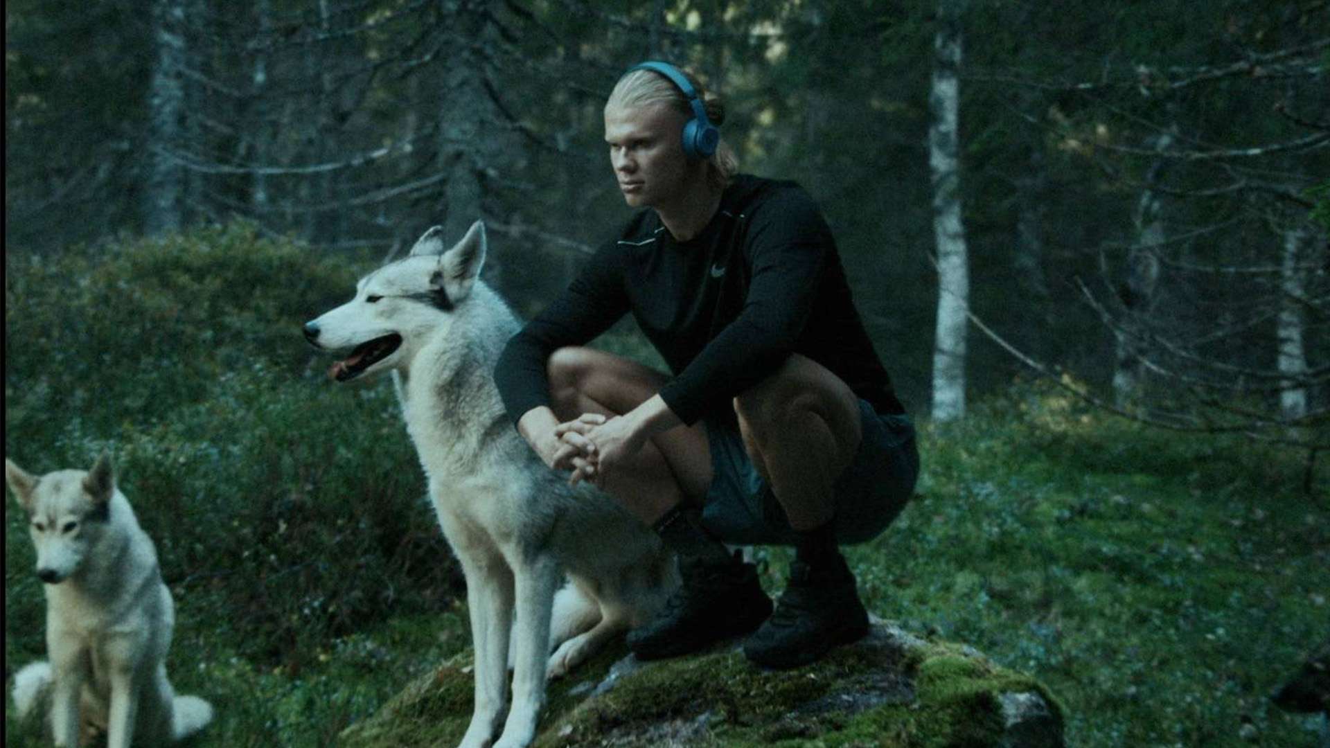 的极高认可 的极高认可